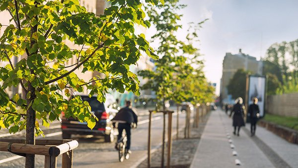 Eine Straße in einer Stadt mit einem Auto und einem Fahrrad. Daneben laufen Fußgänger auf dem Bürgersteig, der durch eine Reihe junger Bäume von der Straße getrennt ist.
